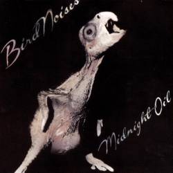 Midnight Oil : Bird Noises